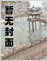 岛上书店